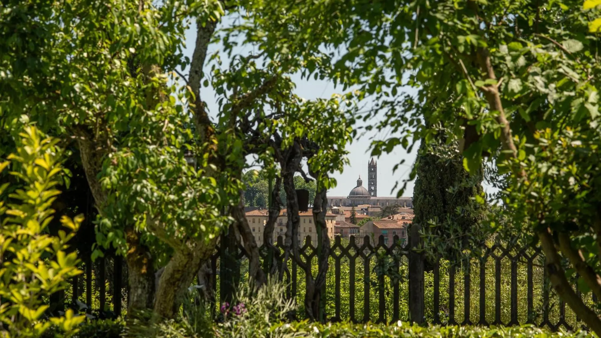 Villa Elvira 1931 Siena Apartment
